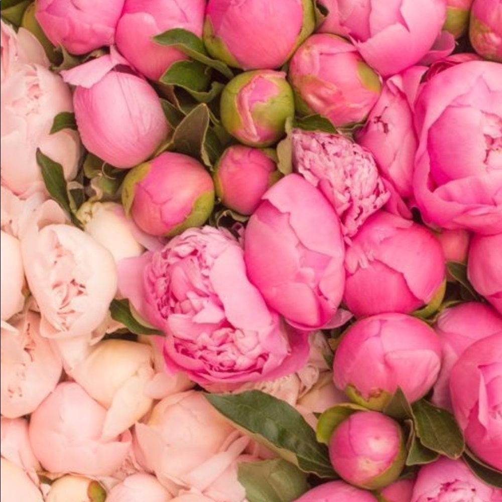 SOLD - Bundle of 2 Fabletics athletic outfits M